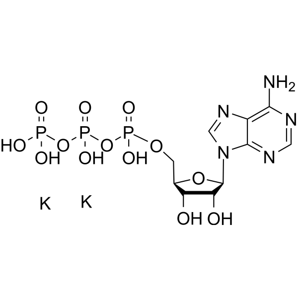 ATP dipotassiumͼƬ