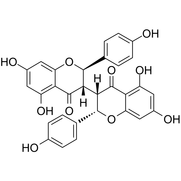 Neochamaejasmin BͼƬ