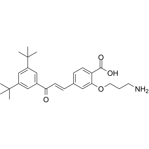 Ch55-O-C3-NH2ͼƬ