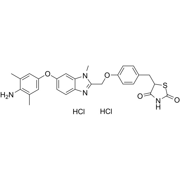 Inolitazone dihydrochlorideͼƬ