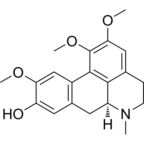 LauroscholtzineͼƬ