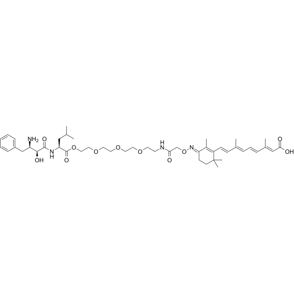 PROTAC CRABP-II Degrader-3ͼƬ