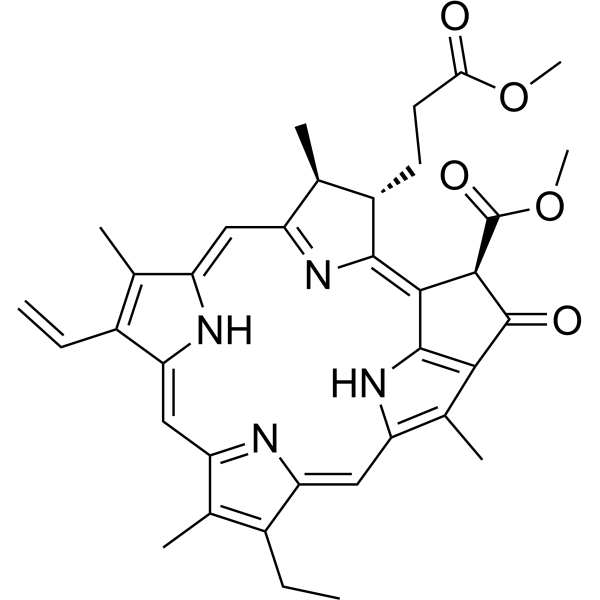 Methyl pheophorbide aͼƬ