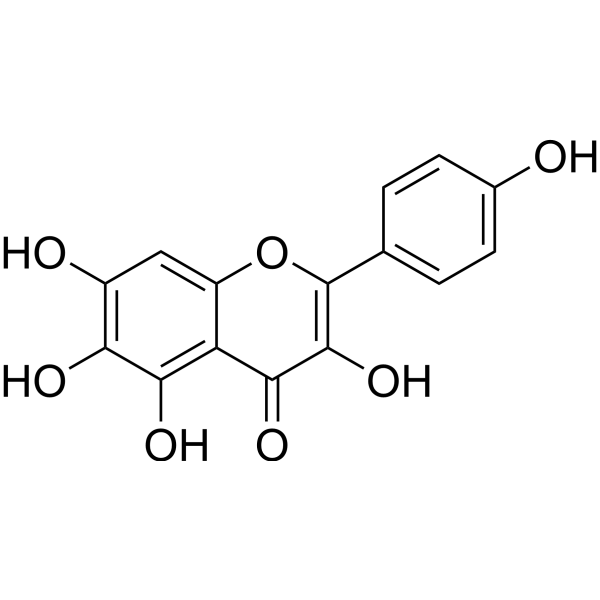 6-Hydroxykaempferol图片