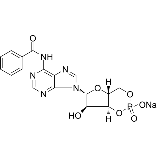 6-Bnz-cAMP sodium saltͼƬ