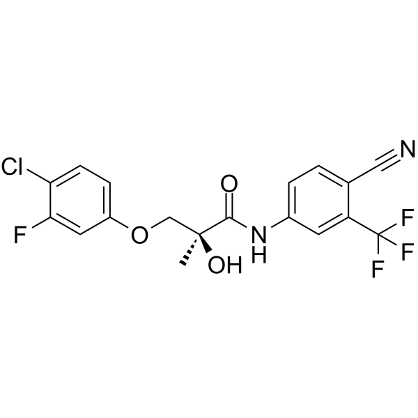 S-23ͼƬ