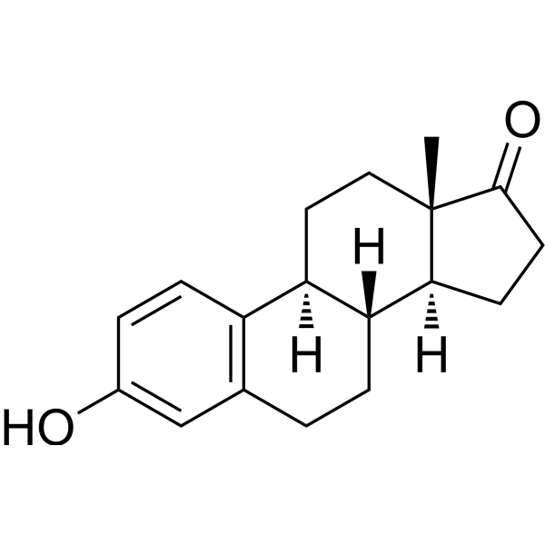 EstroneͼƬ