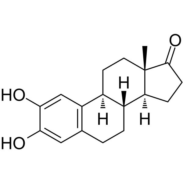 2-HydroxyestroneͼƬ