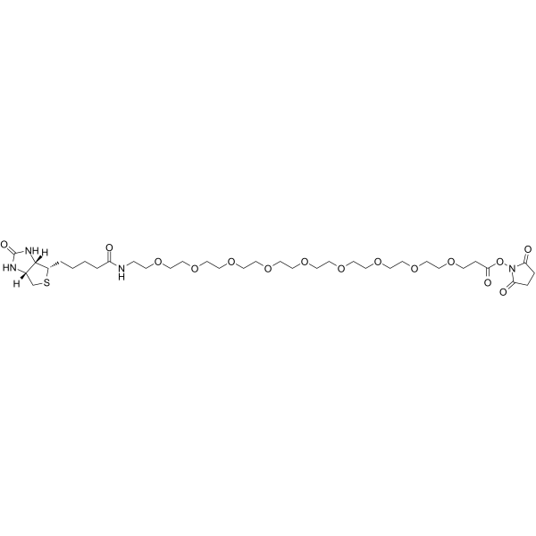 Biotin-PEG9-NHS EsterͼƬ