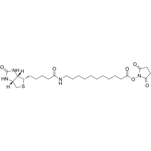 Biotin-C10-NHS EsterͼƬ