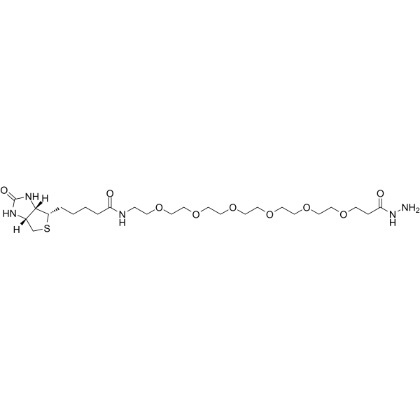 (+)-Biotin-PEG6-hydrazideͼƬ