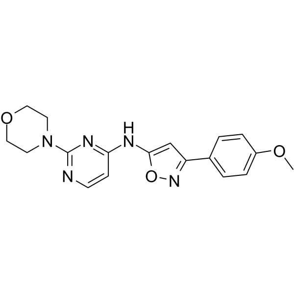 BO-264ͼƬ