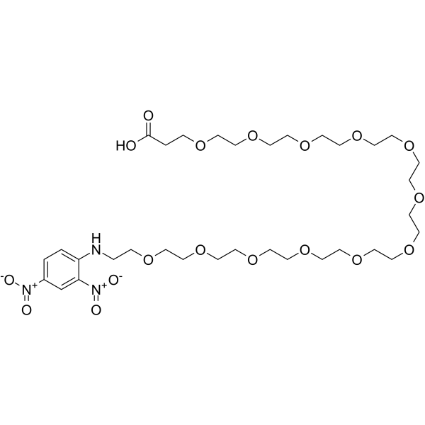 DNP-PEG12-acidͼƬ