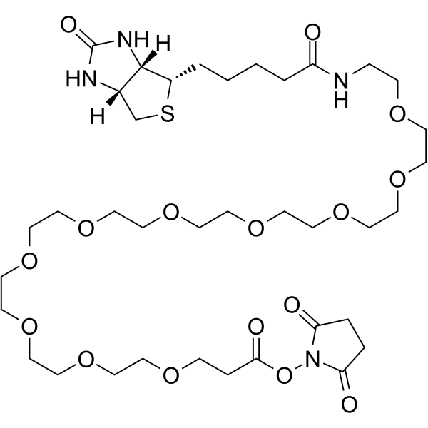 Biotin-PEG10-NHS esterͼƬ