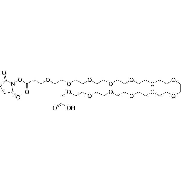 NHS ester-PEG13-COOHͼƬ