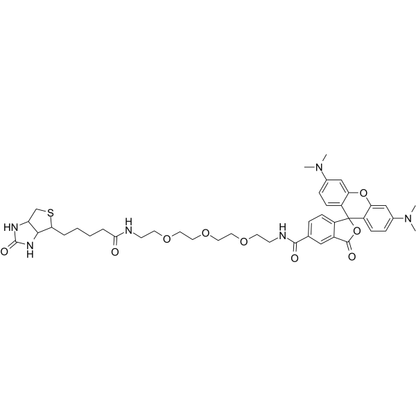 TAMRA-PEG3-biotinͼƬ