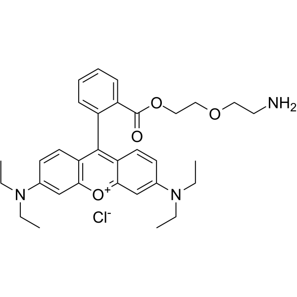 Rhodamine B PEG2-NH2ͼƬ