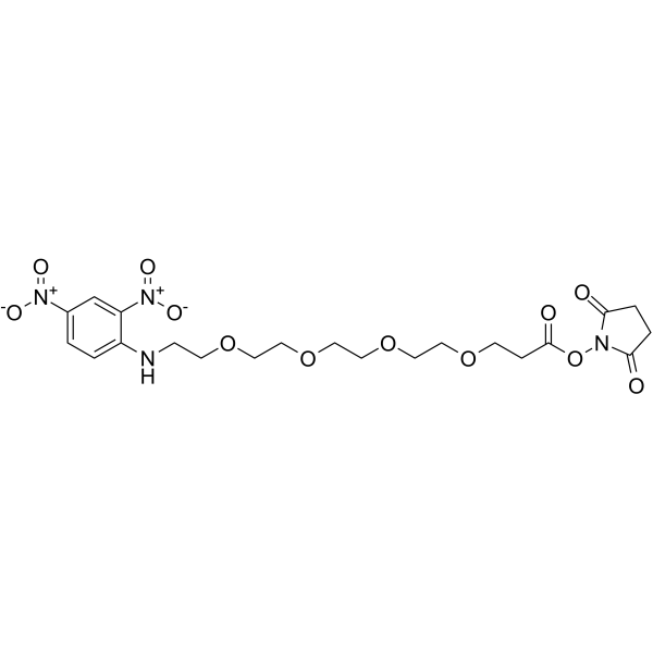 DNP-PEG4-NHS esterͼƬ