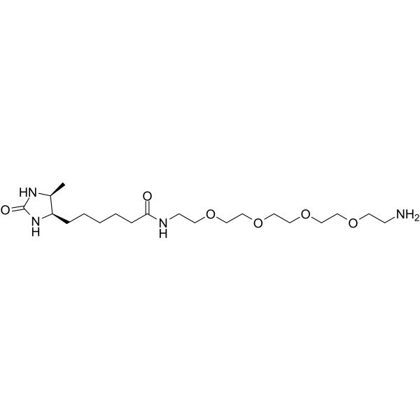 Amine-PEG4-DesthiobiotinͼƬ