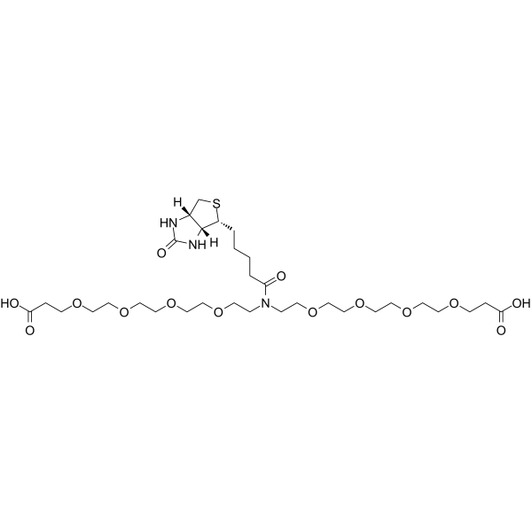 N-Biotin-N-bis(PEG4-acid)ͼƬ