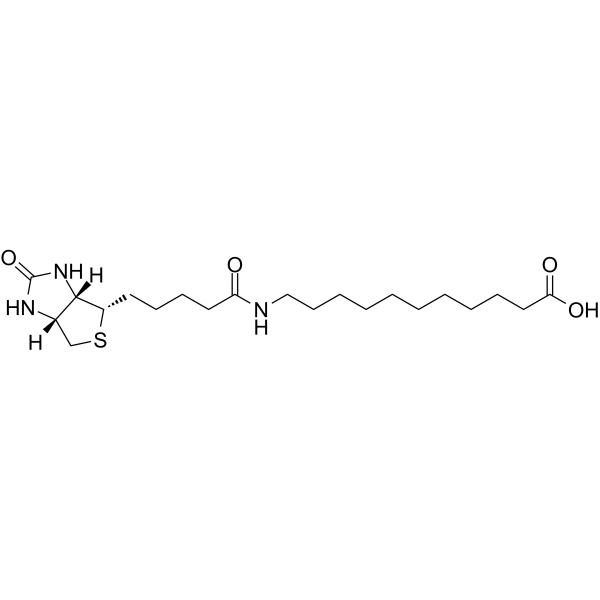 (+)-Biotin-SLCͼƬ