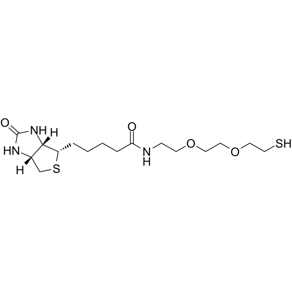 Biotin-PEG2-SH图片