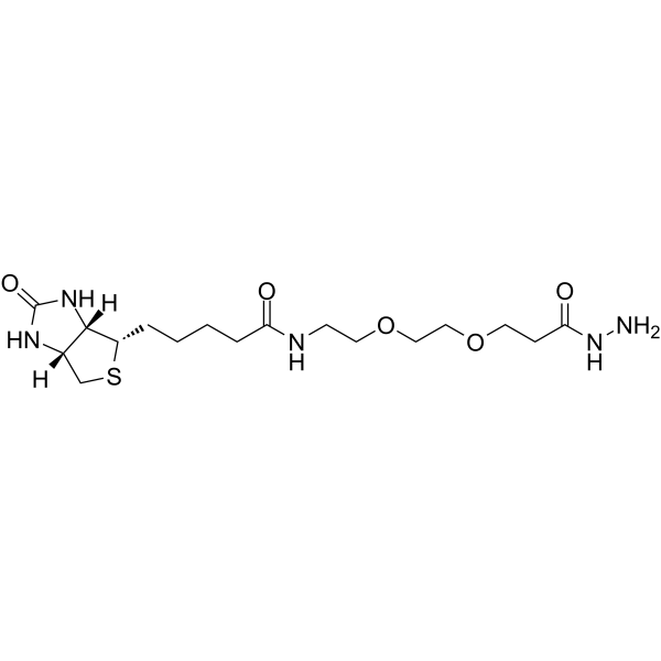 (+)-Biotin-PEG2-hydrazideͼƬ