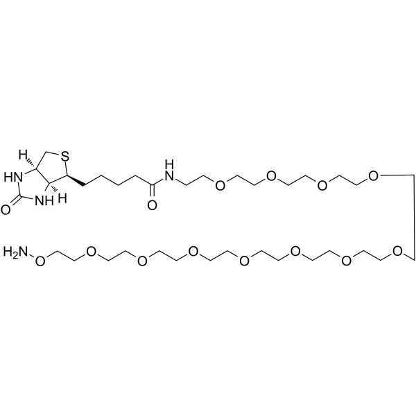 Biotin-PEG11-oxyamineͼƬ