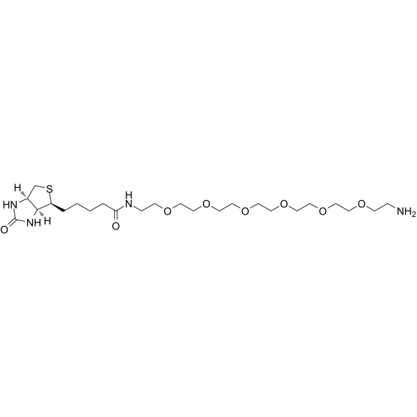 Biotin-PEG6-amineͼƬ