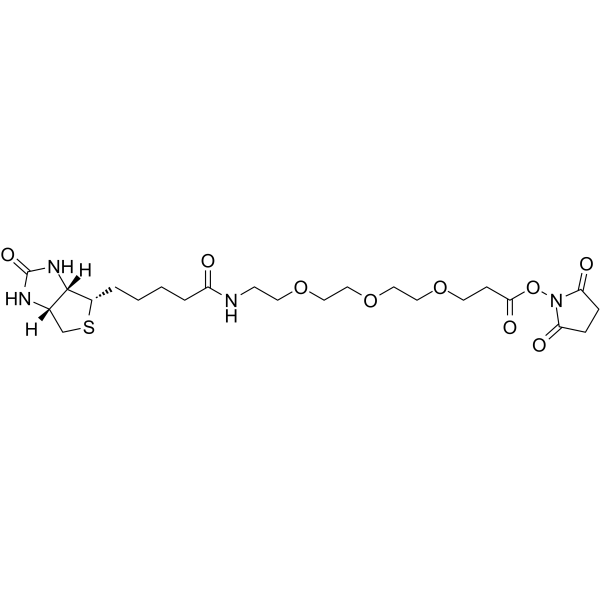 Biotin-PEG3-NHS esterͼƬ