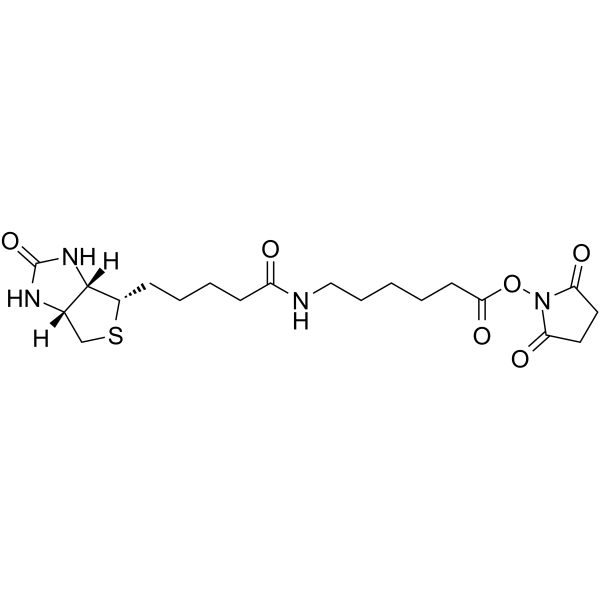 Biotin-C5-NHS EsterͼƬ