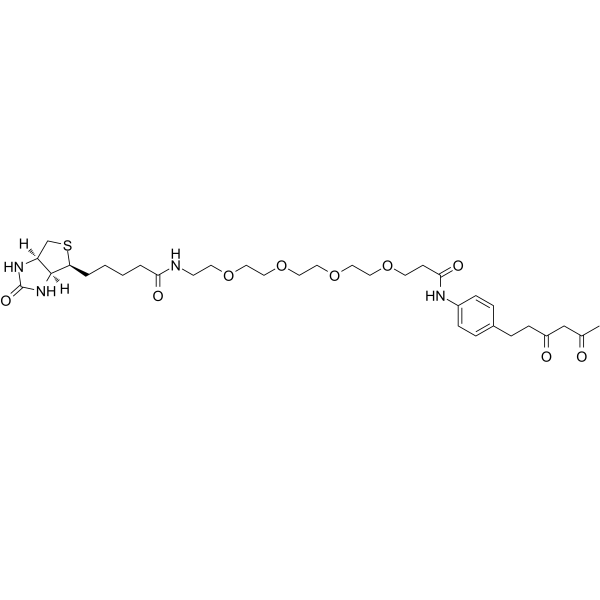 Diketone-PEG4-BiotinͼƬ