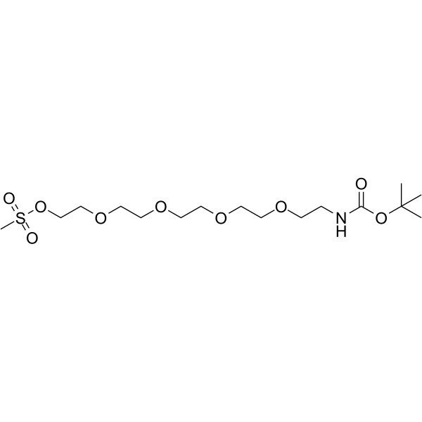 Boc-N-Amido-PEG5-MsͼƬ