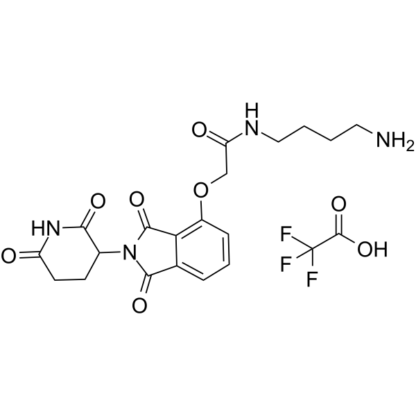 Thalidomide-O-amido-C4-NH2 TFAͼƬ