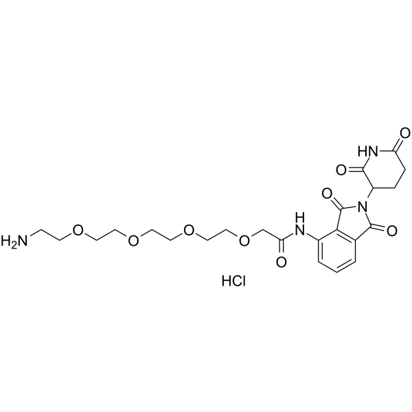 Pomalidomide-amino-PEG4-NH2 hydrochloride图片