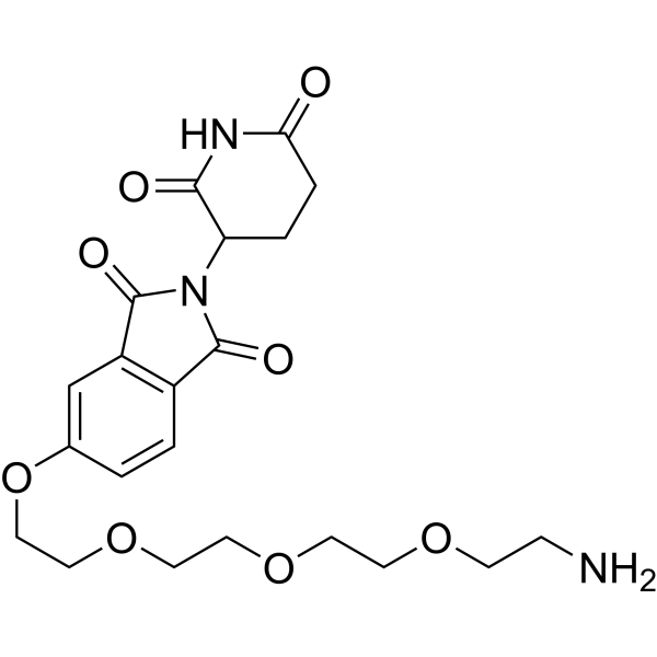 Thalidomide-5-PEG4-NH2ͼƬ