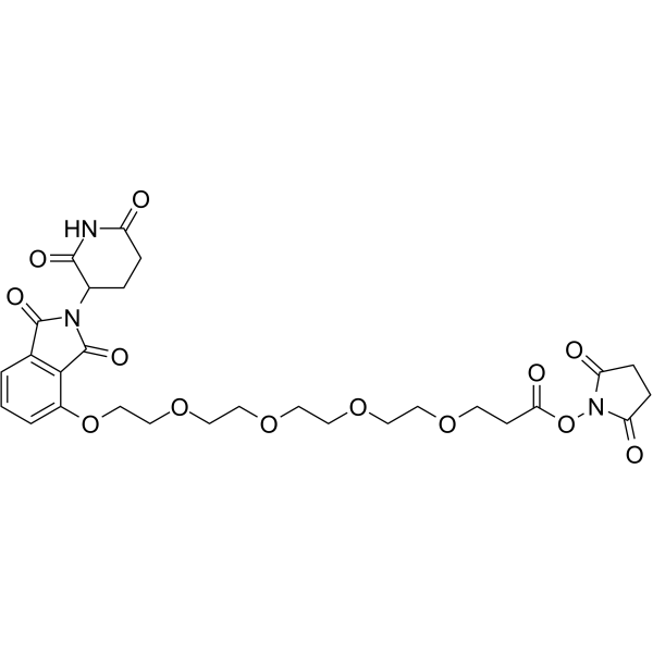 Thalidomide-O-PEG4-NHS esterͼƬ