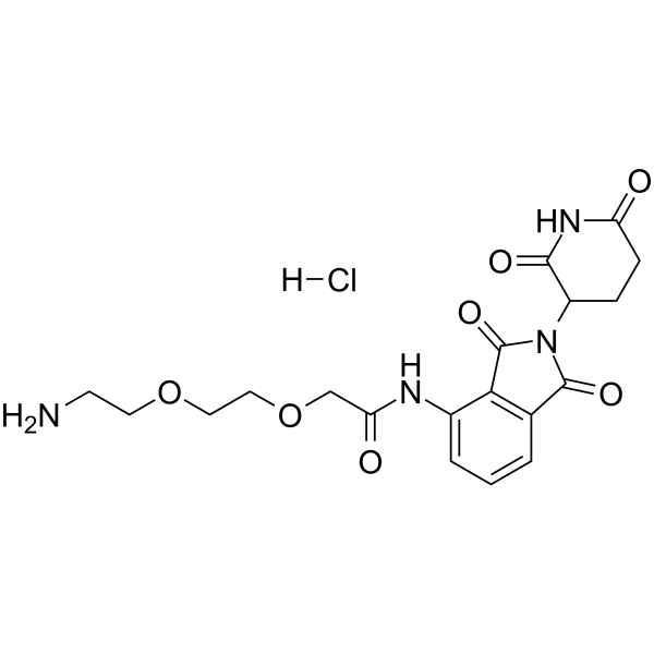 Thalidomide-amido-PEG2-NH2 hydrochlorideͼƬ