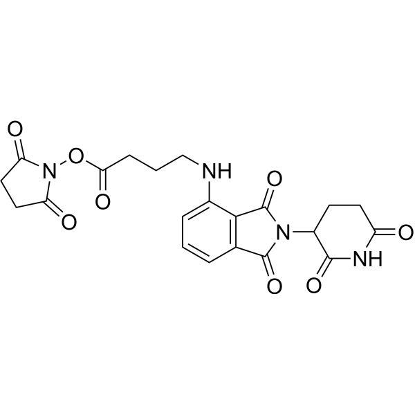 Pomalidomide-C3-NHS esterͼƬ