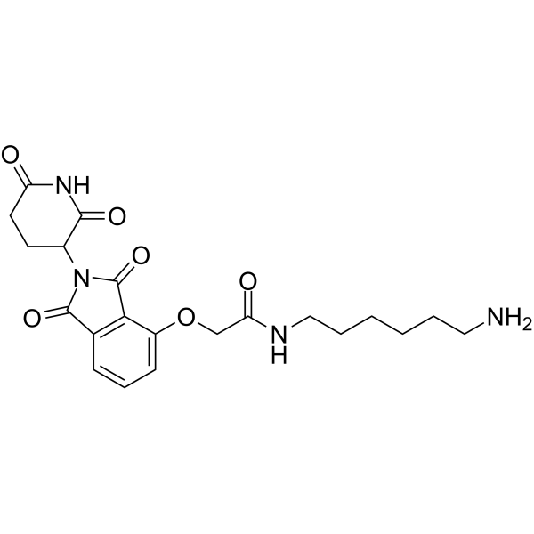 Thalidomide-O-amido-C6-NH2ͼƬ