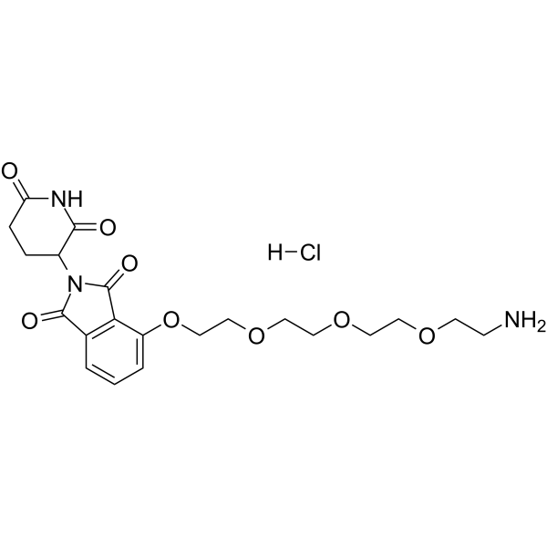 Thalidomide-PEG4-NH2 hydrochlorideͼƬ