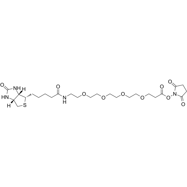 Biotin-PEG4-NHS esterͼƬ