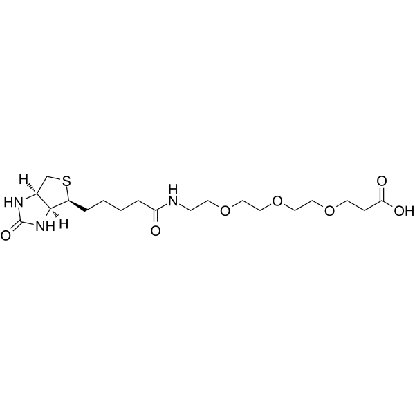 Biotin-PEG3-acid图片