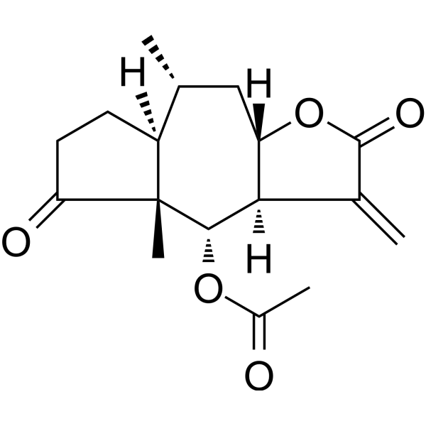 ErgolideͼƬ