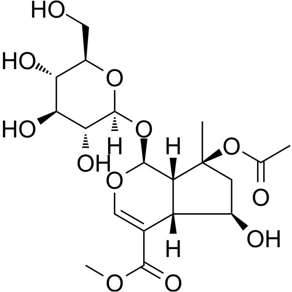 BarlerinͼƬ