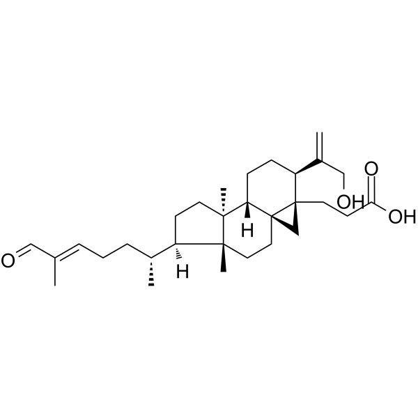 Coronalolic acidͼƬ