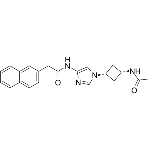 GSK-3/CDK5/CDK2-IN-1ͼƬ