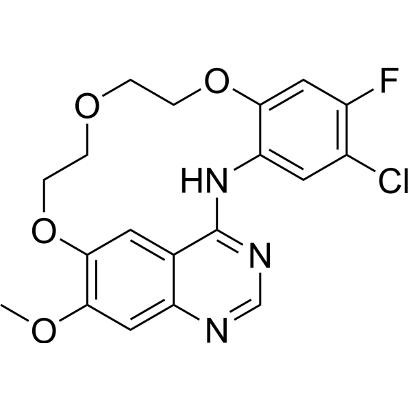 EGFR-IN-73ͼƬ