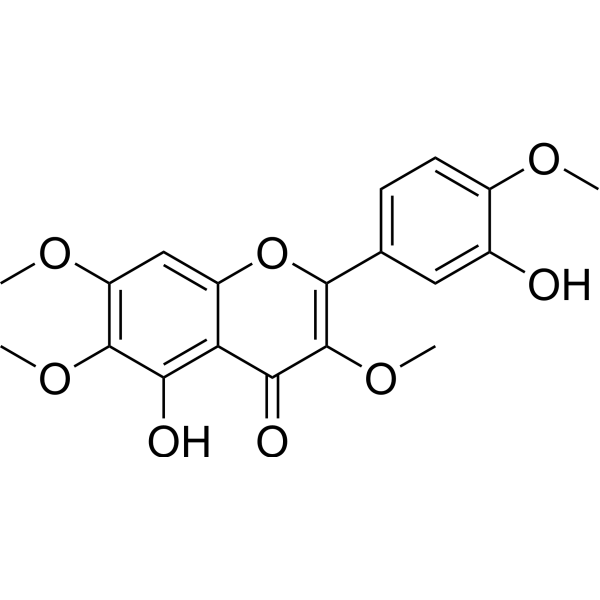 CasticinͼƬ