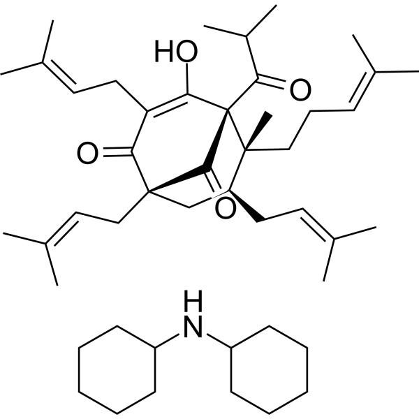 Hyperforin dicyclohexylammonium saltͼƬ